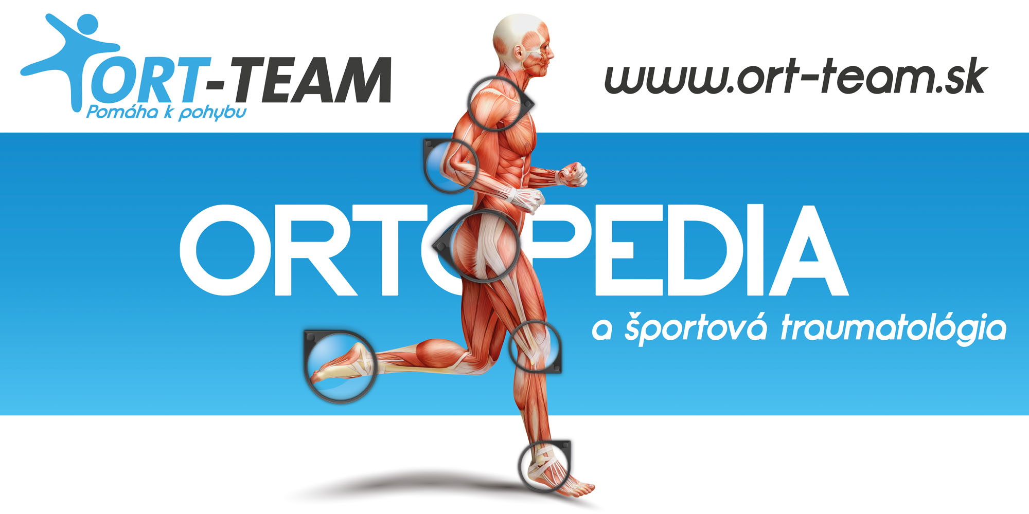 Ort-team banner - Grafický dizajn