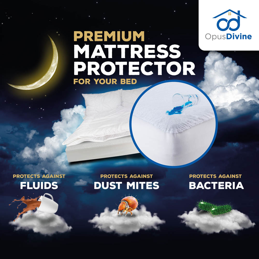 Opus Divine amazon - Grafický dizajn