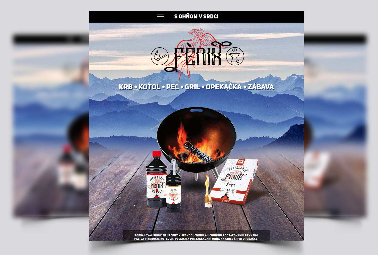 Podpaľovač FÉNIX - Tvorba web stránok