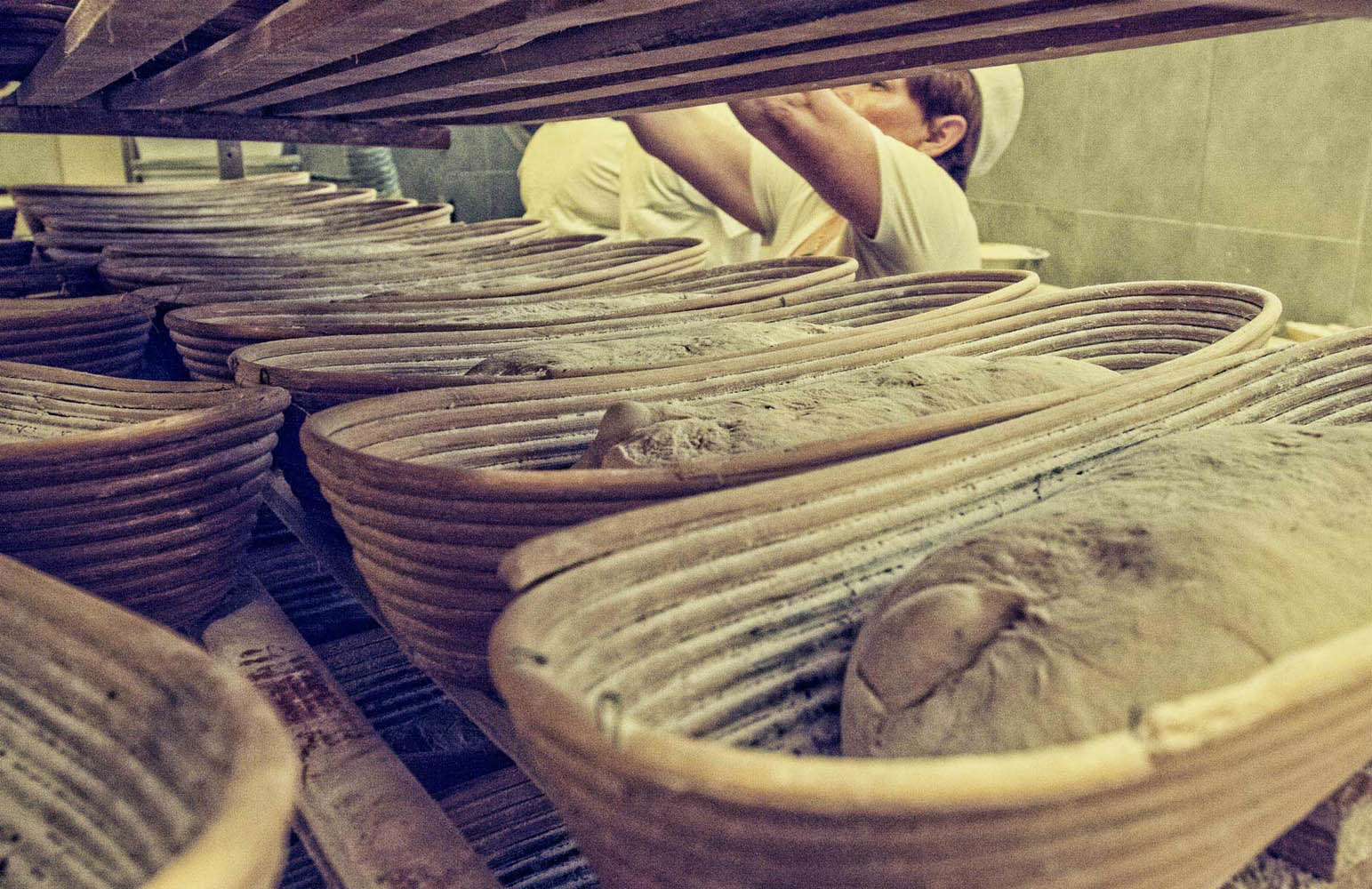 Aranžovaná - Fotografia a foto služby