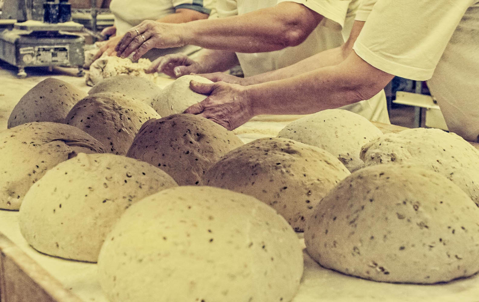 Aranžovaná - Fotografia a foto služby