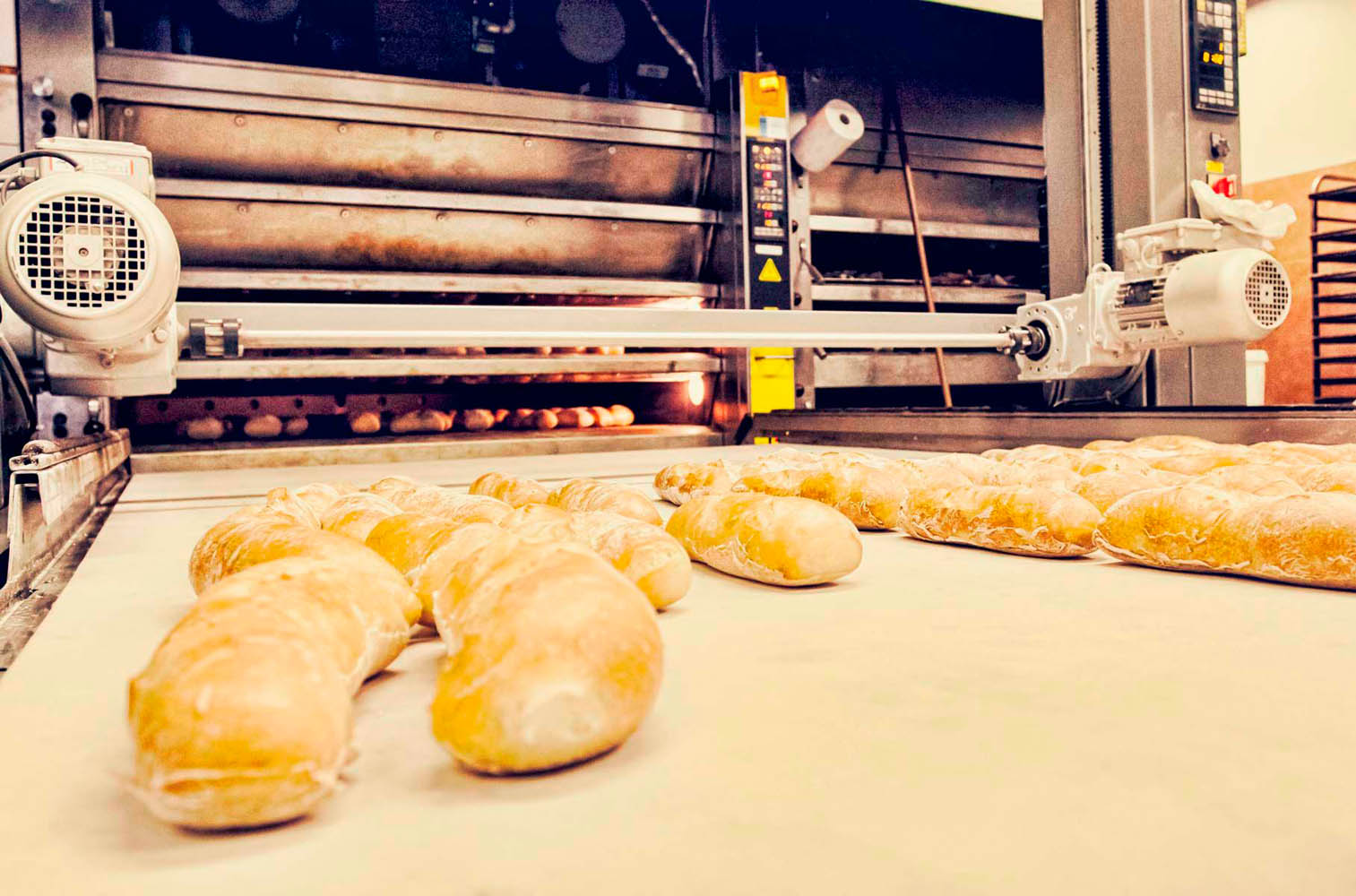 Aranžovaná - Fotografia a foto služby