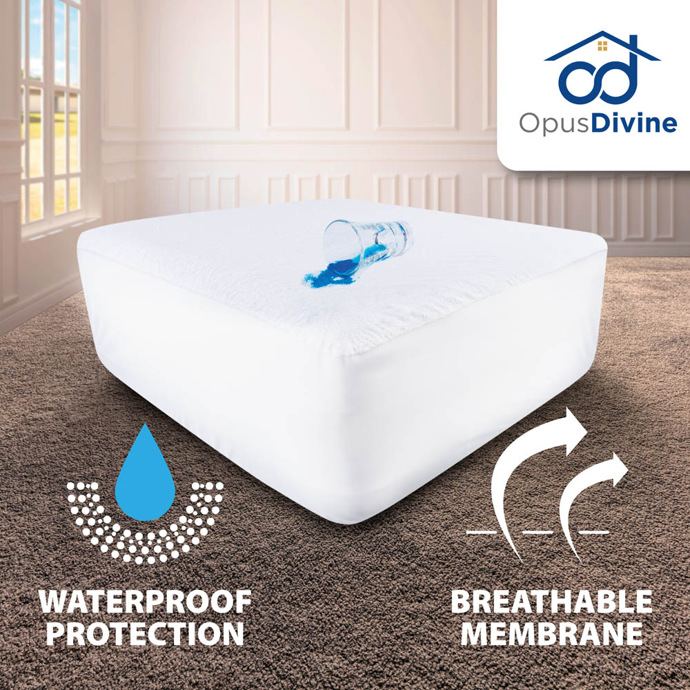 Opus Divine amazon - Grafický dizajn