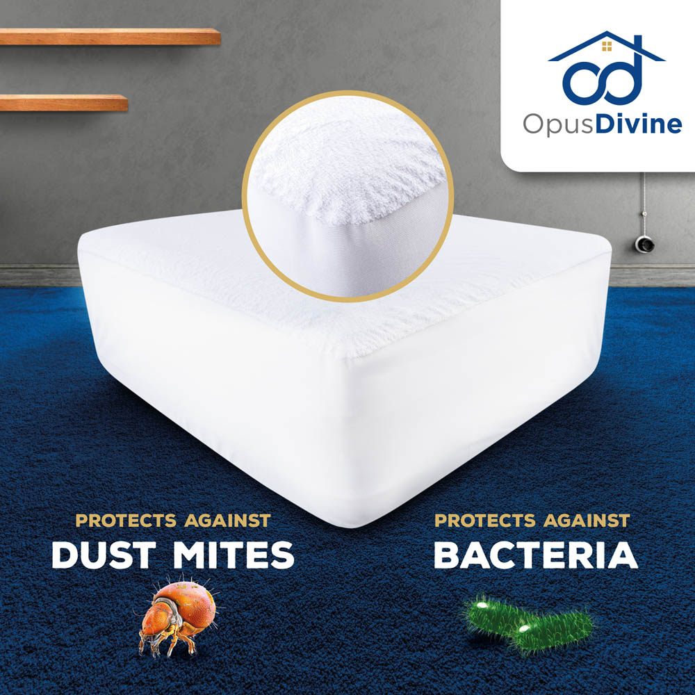 Opus Divine amazon - Grafický dizajn