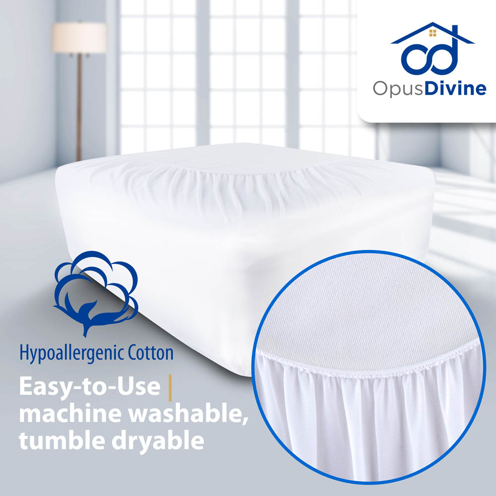 Opus Divine amazon - Grafický dizajn